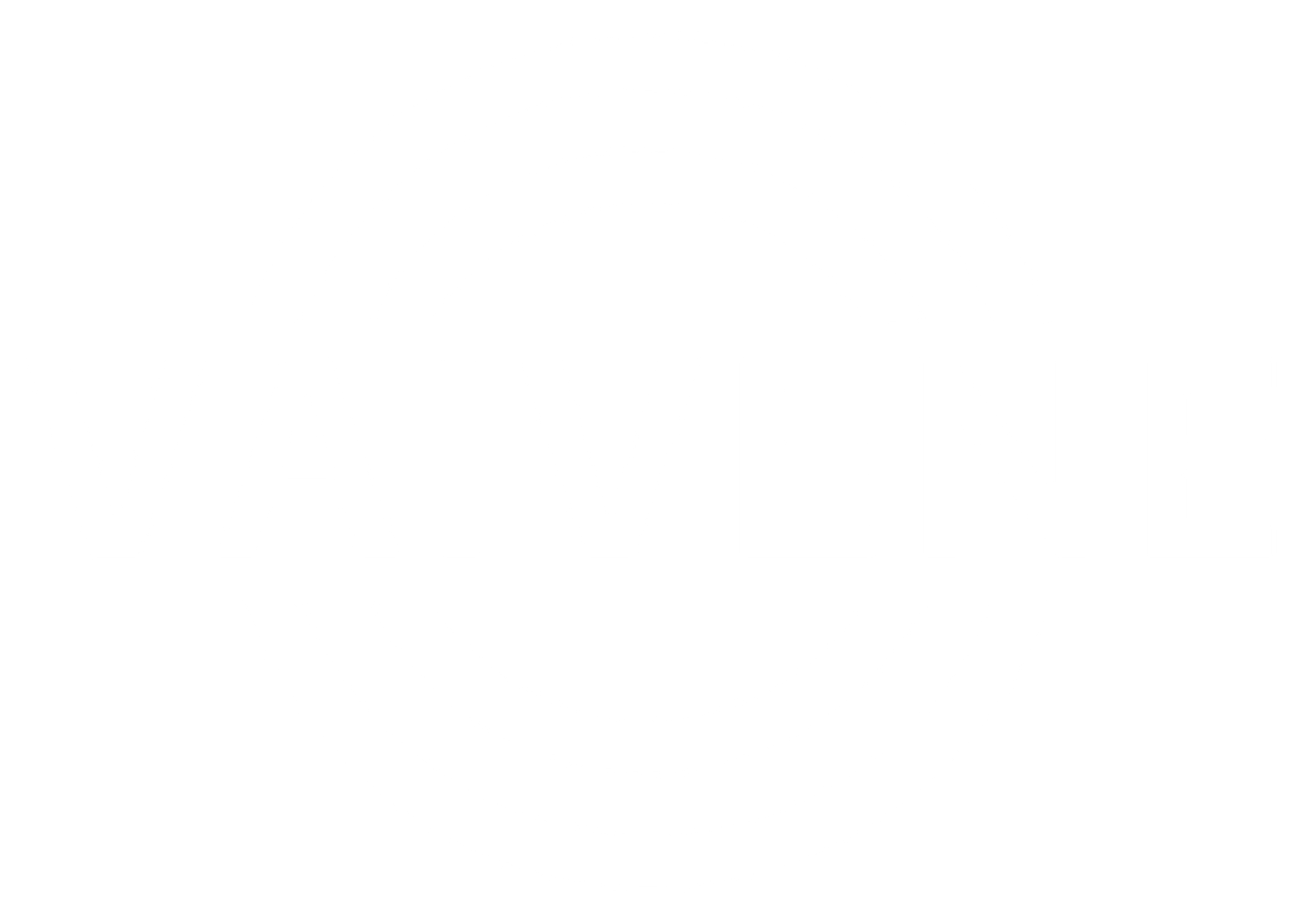 VAIVENE